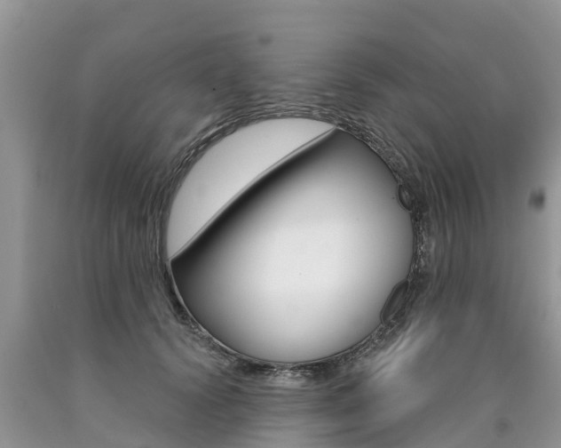 X0000090710656200707200952