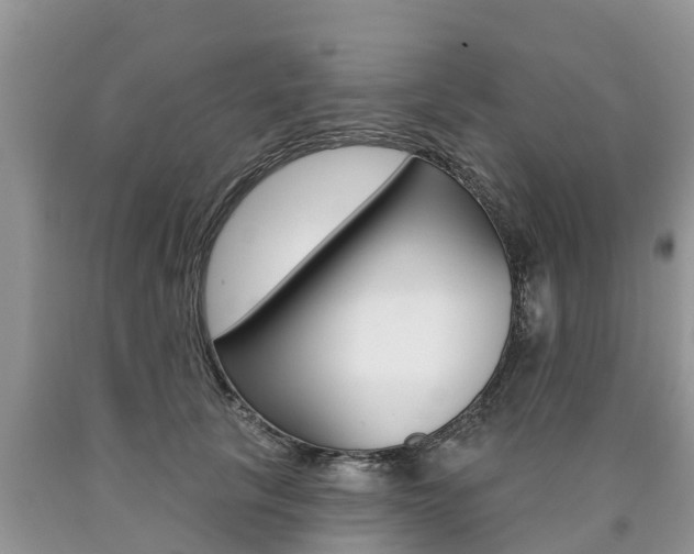 X0000090710657200707200952