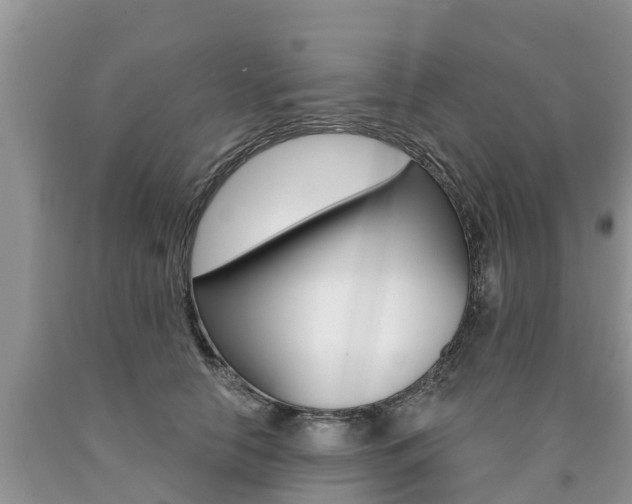 X0000090710658200707200952