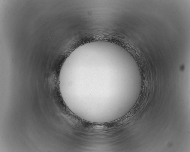 X0000090710659200707200952