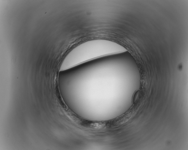 X0000090710660200707200952