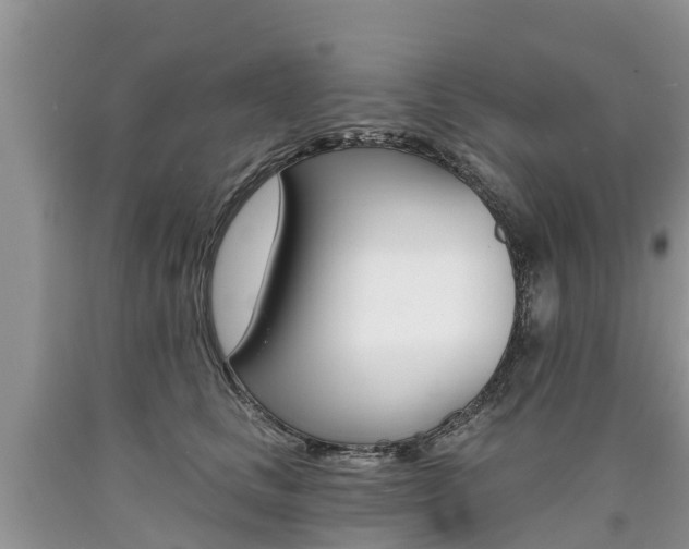 X0000090710661200707200952