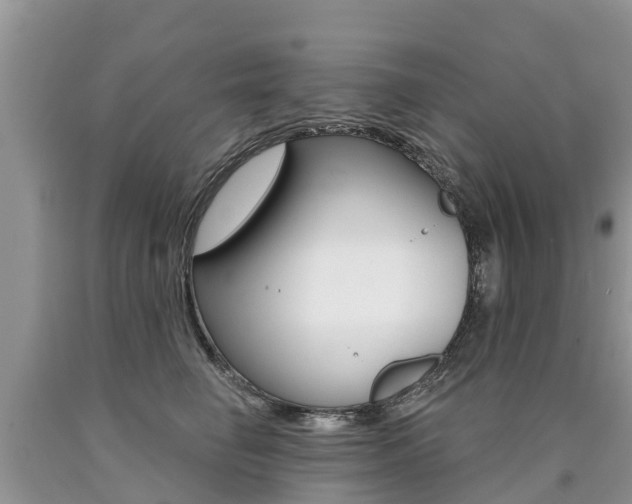 X0000090710662200707200952