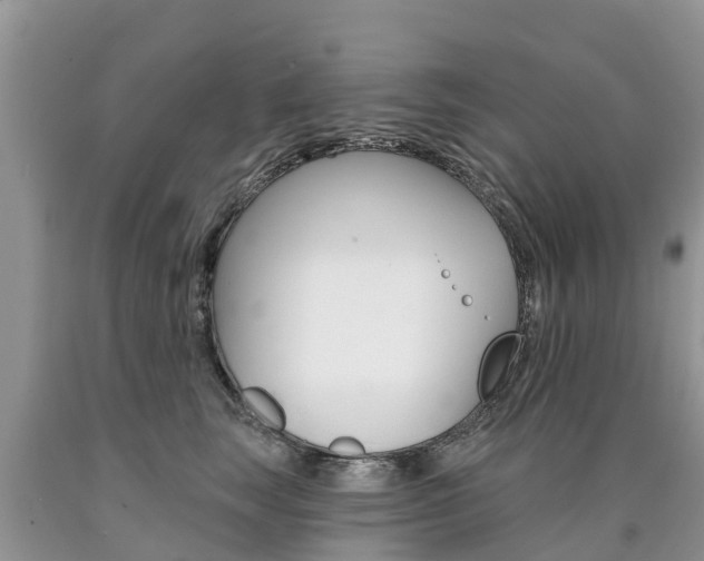 X0000090710663200707200952