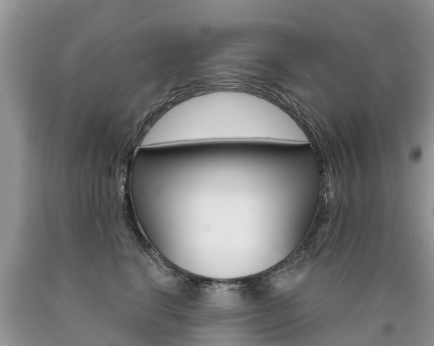 X0000090710664200707200952