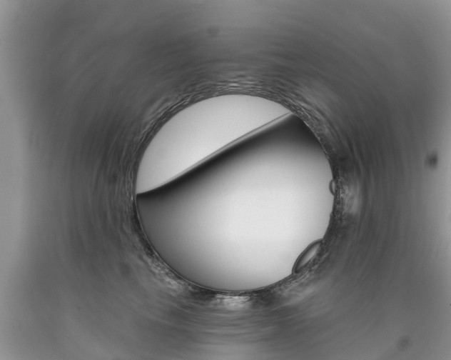 X0000090710665200707200952