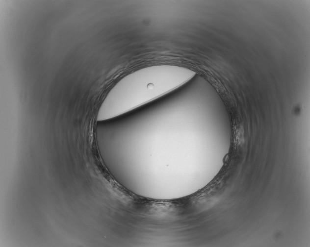 X0000090710666200707200952
