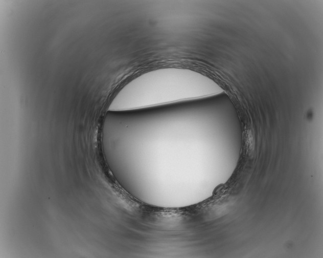 X0000090710668200707200952
