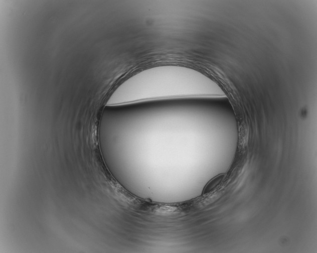 X0000090710669200707200953
