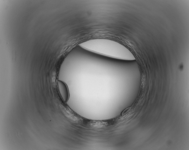 X0000090710670200707200953
