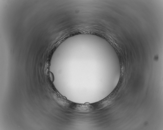 X0000090710671200707200953