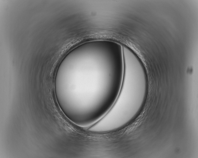 X0000090710673200707200952