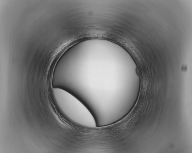 X0000090710674200707200952