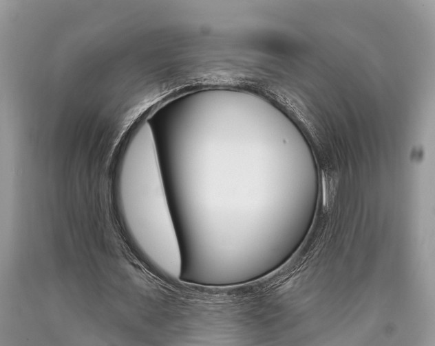 X0000090710675200707200952