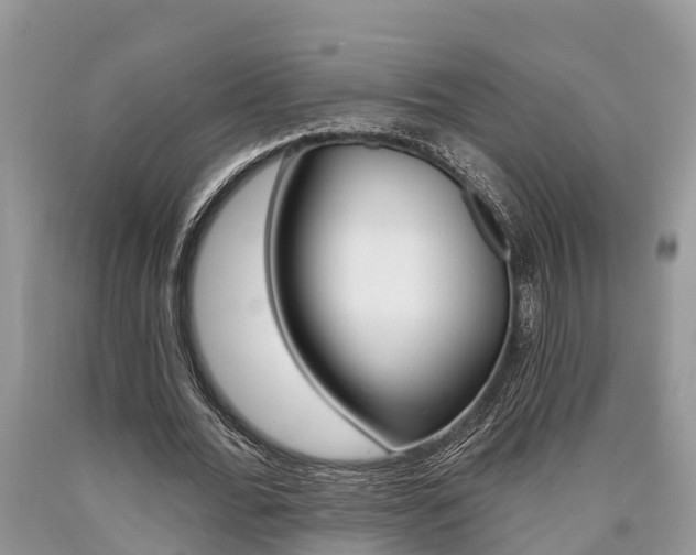 X0000090710676200707200952