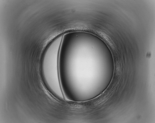 X0000090710677200707200952