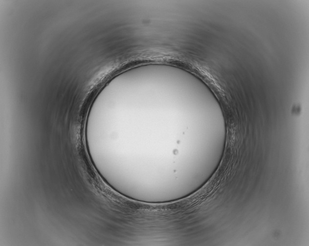 X0000090710679200707200952