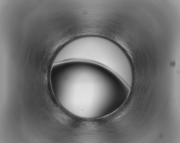 X0000090710681200707200952