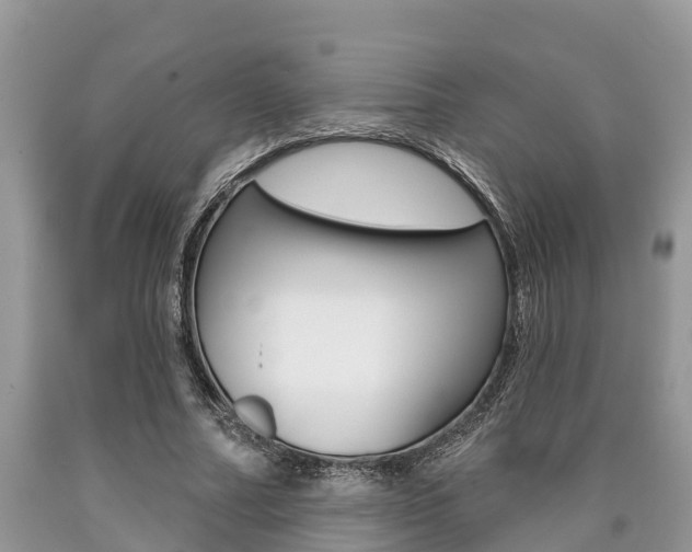 X0000090710682200707200952