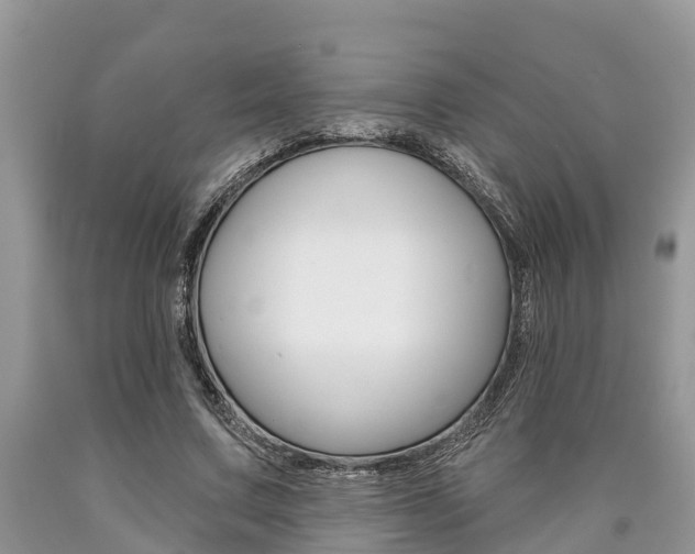 X0000090710683200707200952