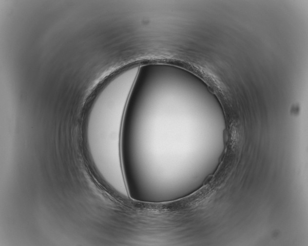X0000090710684200707200952