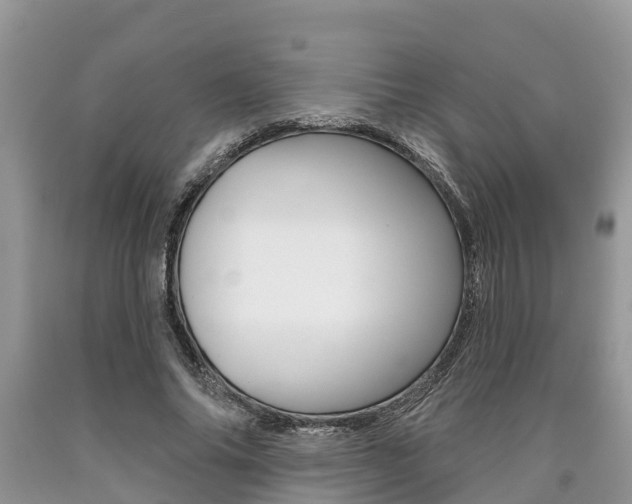 X0000090710686200707200952
