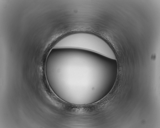 X0000090710688200707200952
