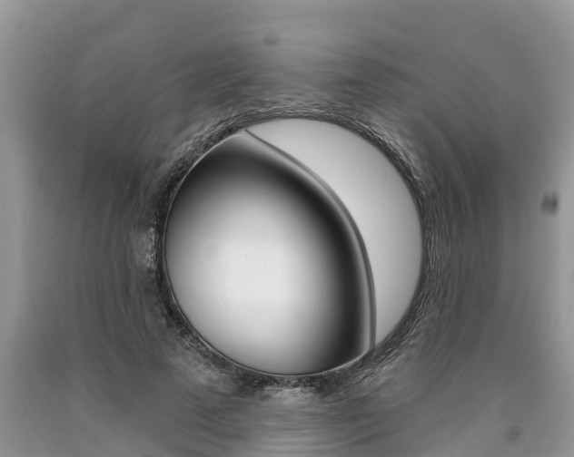 X0000090710689200707200952