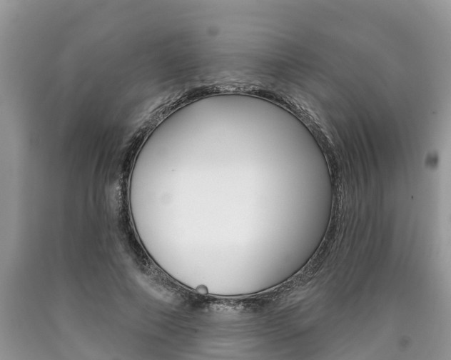 X0000090710690200707200952
