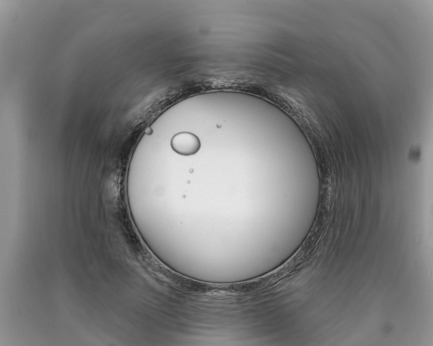 X0000090710691200707200952