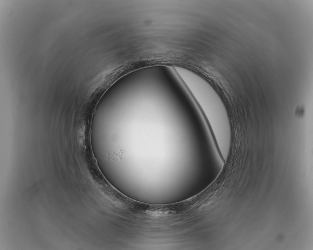 X0000090710693200707200952