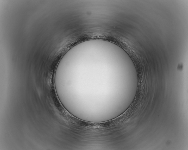 X0000090710695200707200952