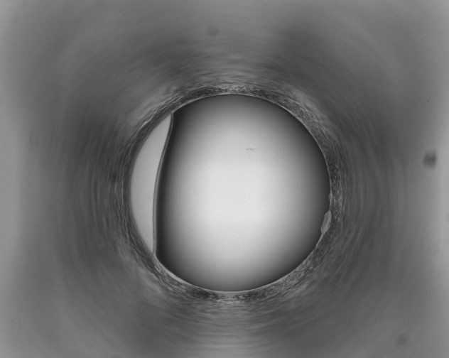X0000090710696200707200952