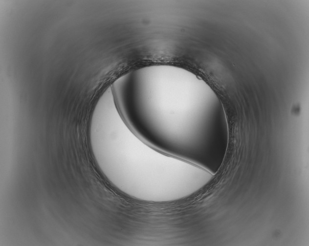X0000090710697200707200952