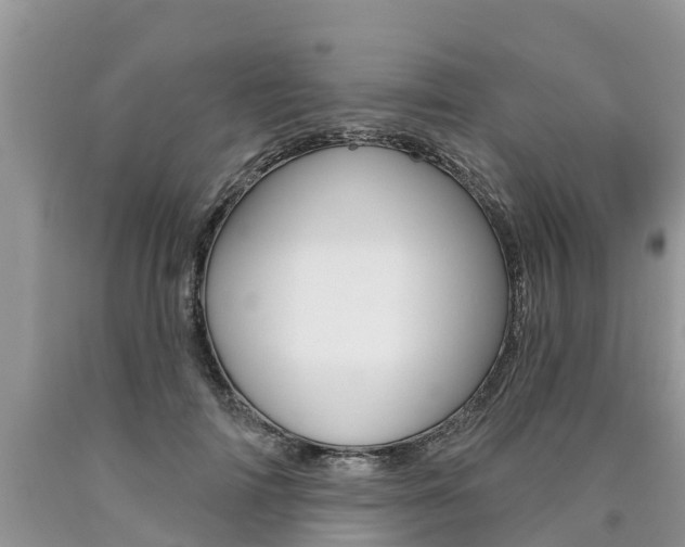 X0000090710698200707200952