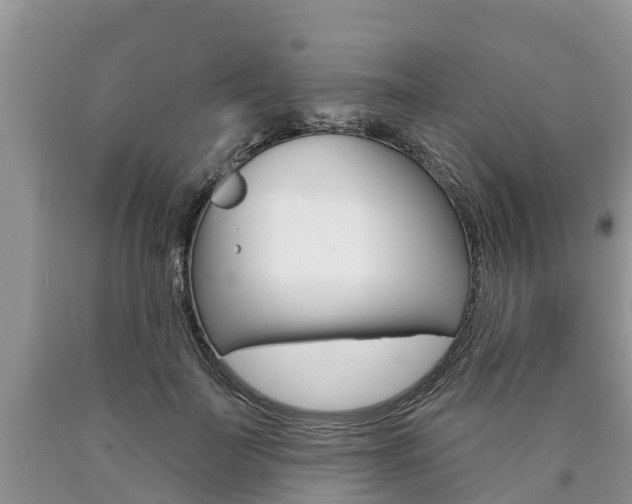 X0000090710699200707200952