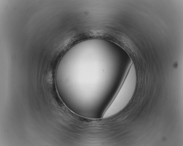 X0000090710700200707200951