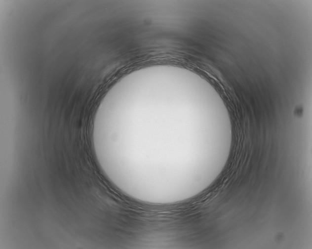 X0000090710701200707200951