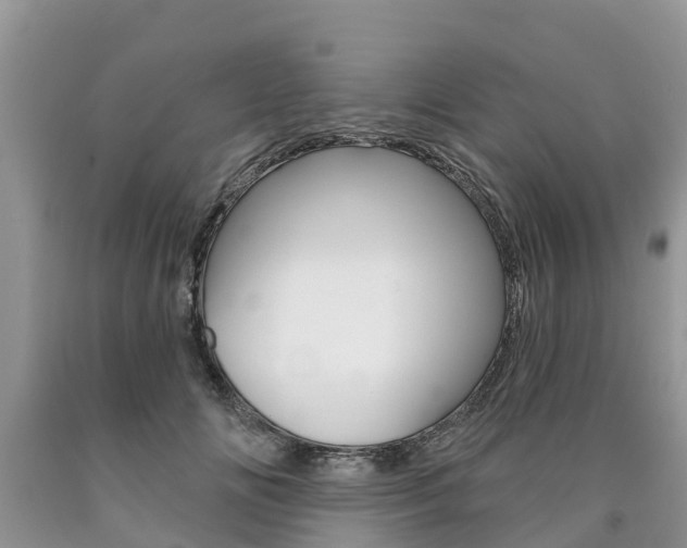 X0000090710702200707200951