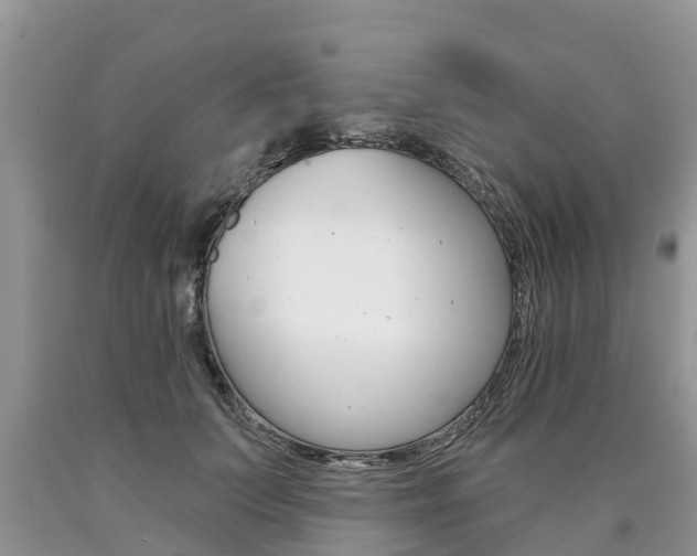 X0000090710703200707200951