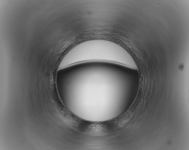 X0000090710704200707200951