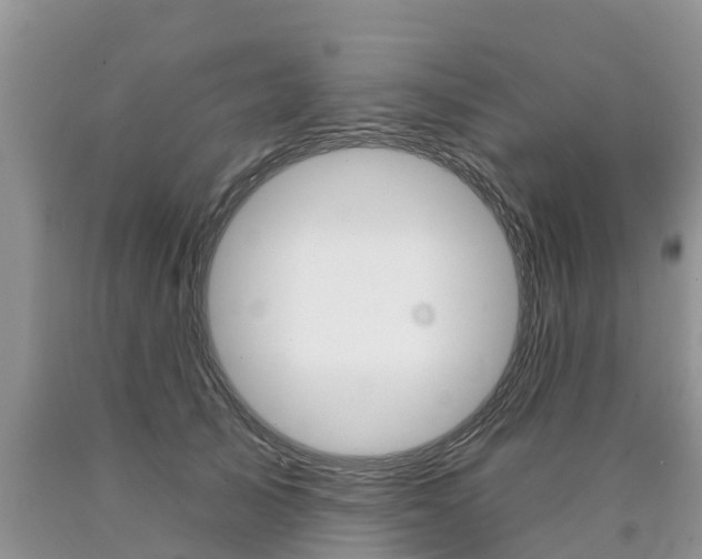 X0000090710705200707200951