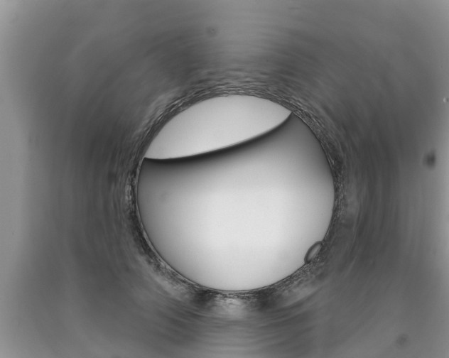 X0000090710706200707200951