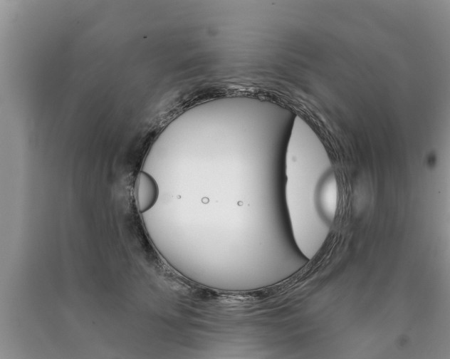 X0000090710707200707200951