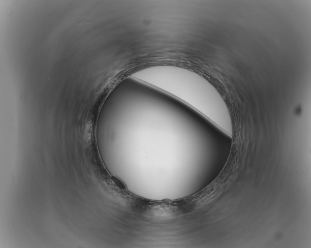 X0000090710708200707200951