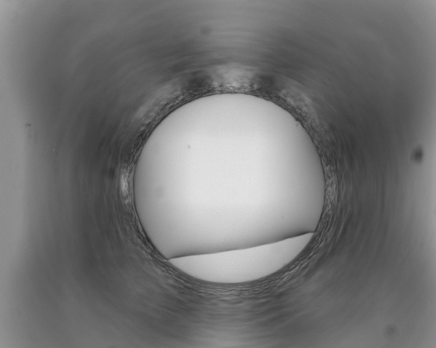 X0000090710709200707200951