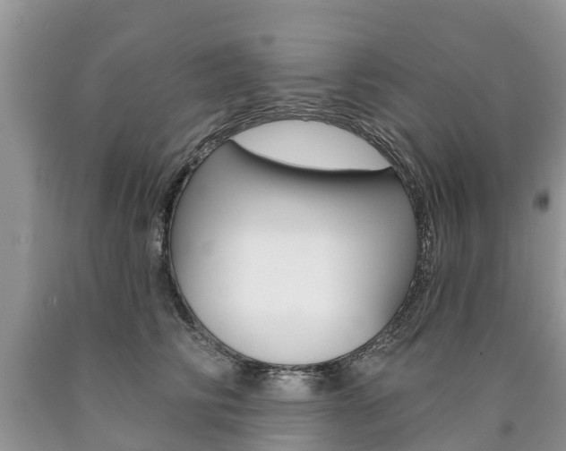 X0000090710710200707200951