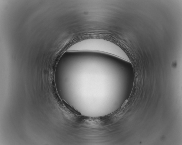 X0000090710712200707200951