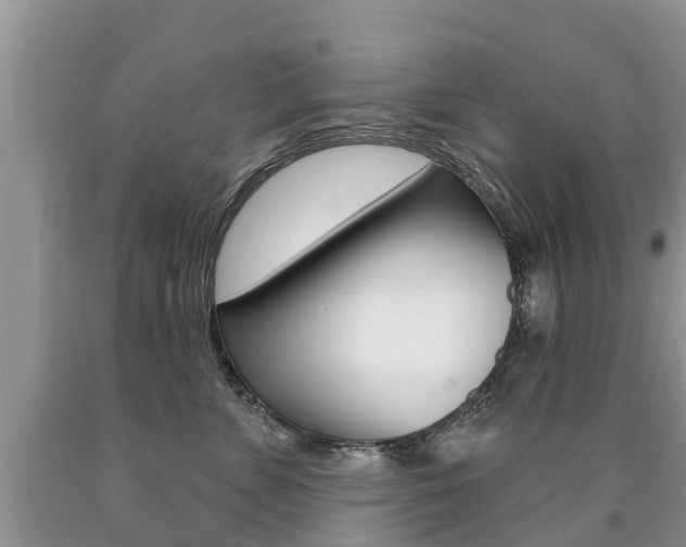 X0000090710715200707200951