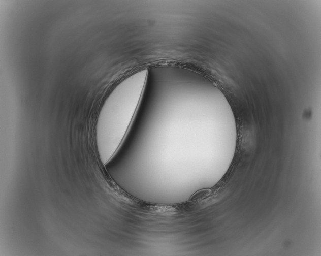 X0000090710719200707200951